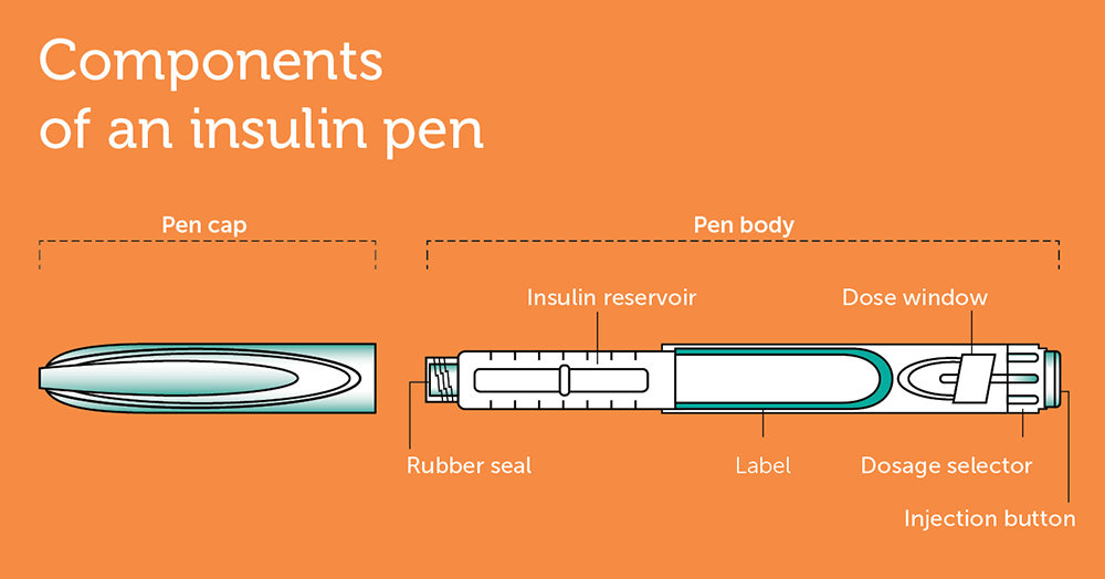 An image showing components of an insulin pen